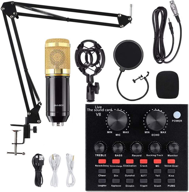 BM 800 Studio Microphone